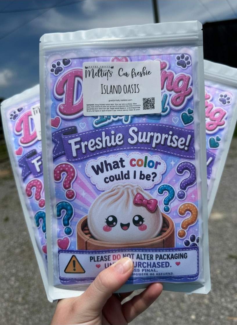 Mystery Dumpling Car Freshie