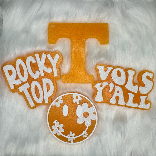 Big Orange Car Freshie image 0